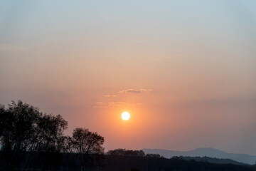 Sunset with trees in autumn park