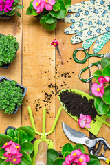 Garden tools and flowers on an old wooden table