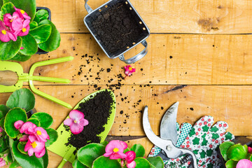 Garden tools, soil and spring flowers on a wooden table