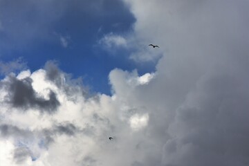 clouds in the sky