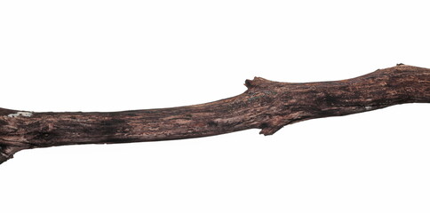 Old, rotten branch isolated on white 