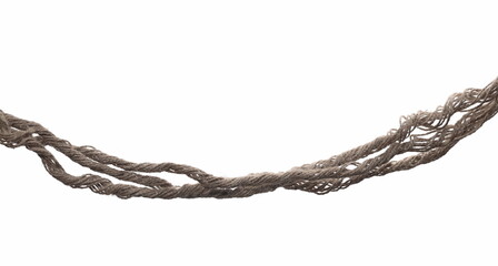 Rope isolated on white background texture 