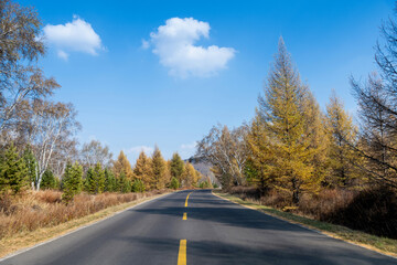 Fototapeta premium Country road with blue sky in the autumn