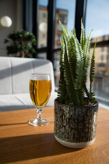 glass of beer on a sunny table
