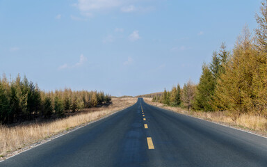 Country road with blue sky in the autumn