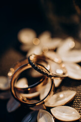 wedding rings with precious stones close-up