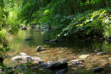 Naklejka premium Buccatoggio river in Costa Verde mountain. Corsica islandin