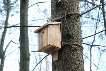 A close-up of a wooden nesting box tied with a string on a tree
