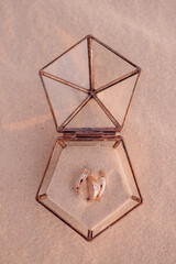 wedding rings in an elegant box