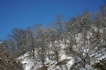 Winter with lots of snow in Bavaria is beautiful again
