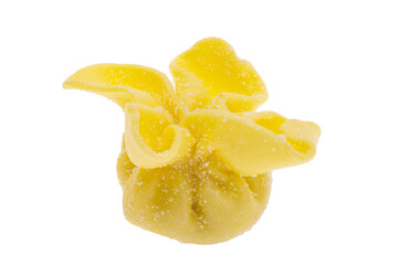 ravioli isolated
