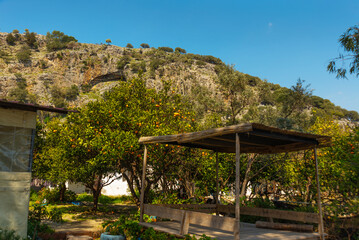 Fototapeta na wymiar DALYAN, TURKEY: Landscape with a view of orange trees and a house by the mountain in Dalyan.