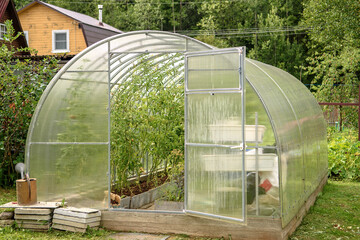 Fototapeta premium Greenhouse in the backyard with an open door. Growing tomatoes and cucumbers in the summer in your garden