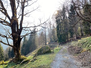 Trails for walking, hiking, sports and recreation around the Klöntalersee reservoir lake (or Kloentalersee) and on the slopes of the Klöntal alpine valley - Canton of Glarus, Switzerland (Schweiz)
