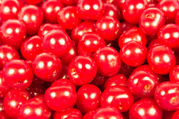 Red cherry harvest on the table (copy space).