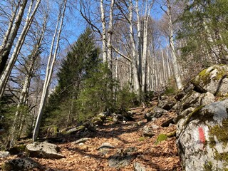 Mountaineering signposts and markings around the Klöntalersee reservoir lake (or Kloentalersee) and on the slopes of the Klöntal alpine valley (or Kloental) - Canton of Glarus, Switzerland (Schweiz)
