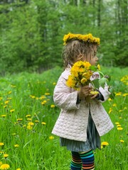 little girl with a bouquet of dandelions and a wreath of dandelions