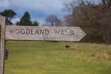 ' Woodland Walk ' Direction sign arrow Wooden Sign on sign post in forest shropshire United Kingdom