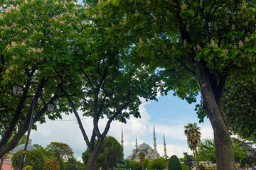 The Sultan Ahmed Mosque (Blue Mosque) and fountain view from the Sultanahmet Park in Istanbul, Turkey
