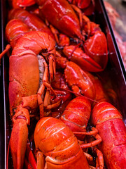 Red cooked lobsters for sale.