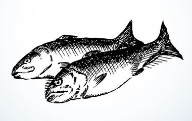 Vector fishes still life from the biblical story