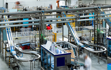 Production line in milk factory