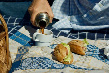 Picnic lunch with coffee and sandwiches outdoors a sunny day in spring.