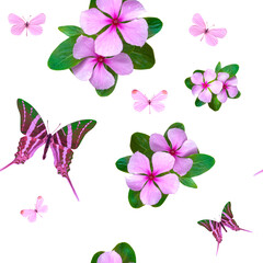 tropical seamless butterfly flowers pattern