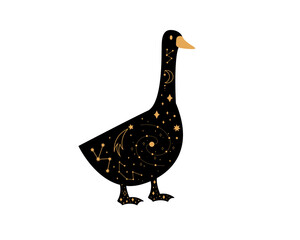 Black magical goose, Mystic crescent moon esoteric symbol, constellation elements.