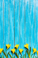 Yellow flowers on a turquoise wooden background