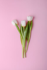 White tulips bouquet on pastel pink background, top view, spring floral card