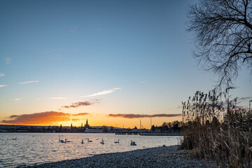 Abendspaziergang am Konstanzer Seeufer