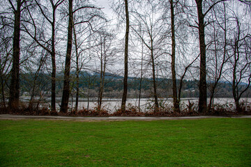 trees in the park overlooking the lake and mountains in Vancouver, Canada