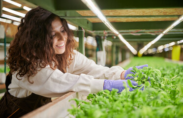 Female gardener checking plant growth in garden agricultural greenhouse. Cheerful woman in sterile gloves holding seedling and smiling while standing near wooden shelf with plants.