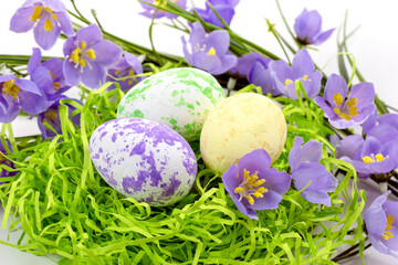 Easter eggs in the nest and spring flowers on a white background.Happy easter concept.
