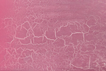 Pink paint on the old chapped texture of the background cracked wall surface
