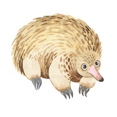 Animals of Australia. Watercolor set of cute cartoon animals of australia. Set of individual elements for sublimation, applique, stickers, design.