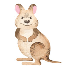 Animals of Australia. Watercolor set of cute cartoon animals of australia. Set of individual elements for sublimation, applique, stickers, design.
