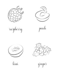 Hand draw frutis, set. Raspberry, Peach, Kiwi, Grapes - obrazy, fototapety, plakaty