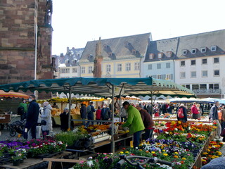 Markt auf dem Münsterplatz in Freiburg