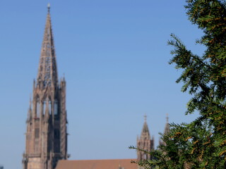 Das Freiburger Münster