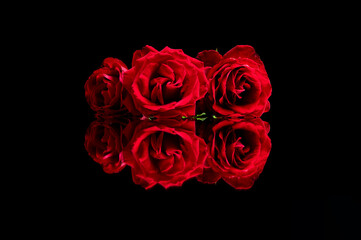 Red roses on a black reflective surface taken at a low angle. Great for Love, anniversaries, wedding, valentines.  