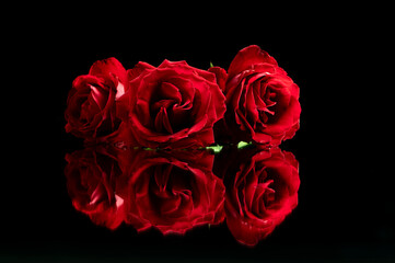 Red roses on a black reflective surface taken at a low angle. Great for Love, anniversaries, wedding, valentines.  