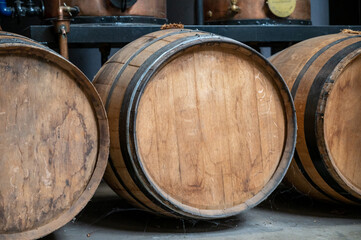 Production of sweet cassis creme liquor from ripe black currant berries, distillation and maturation in wooden barrels.  Burgundy, France