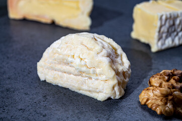 Creamy crottin goat cheese from France, french soft cheeses collection