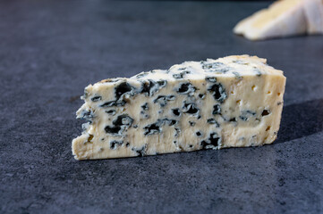 Piece of French blue cheese made from sheep milk