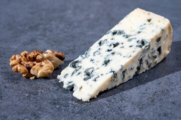 Piece of French blue cheese made from sheep milk