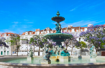 Fototapeta na wymiar Rossio square in Lisbon in Portugal with purple blooming Jacaranda mimosifolia trees