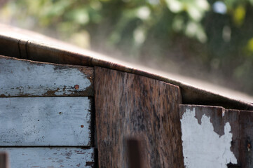 abstract background with old planks, evaporation of rainwater off a surface, and out of focus greenery