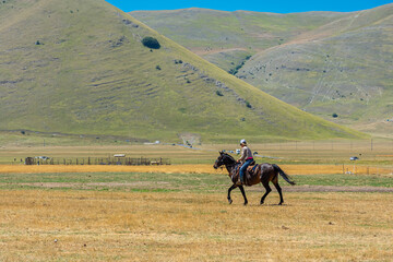 CASTELLUCCIO DI NORCIA, ITALY, 26 AUGUST 2021 Horses in the valley of Umbria